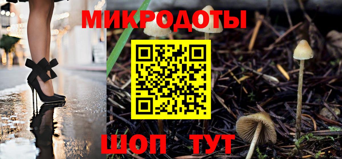 Псилоцибиновые грибы Psilocybine cubensis Лесной